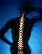 Spine Stock Photo
